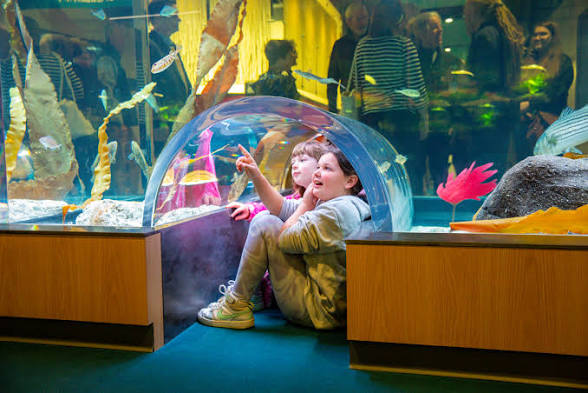 Photo of Save The Bay Aquarium